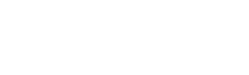 Bailey PLC Logo White